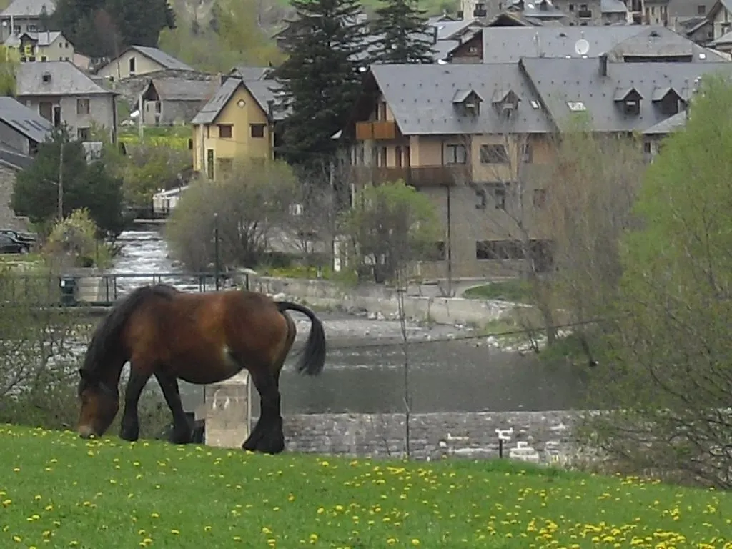 Villa Casa Franch Espot
